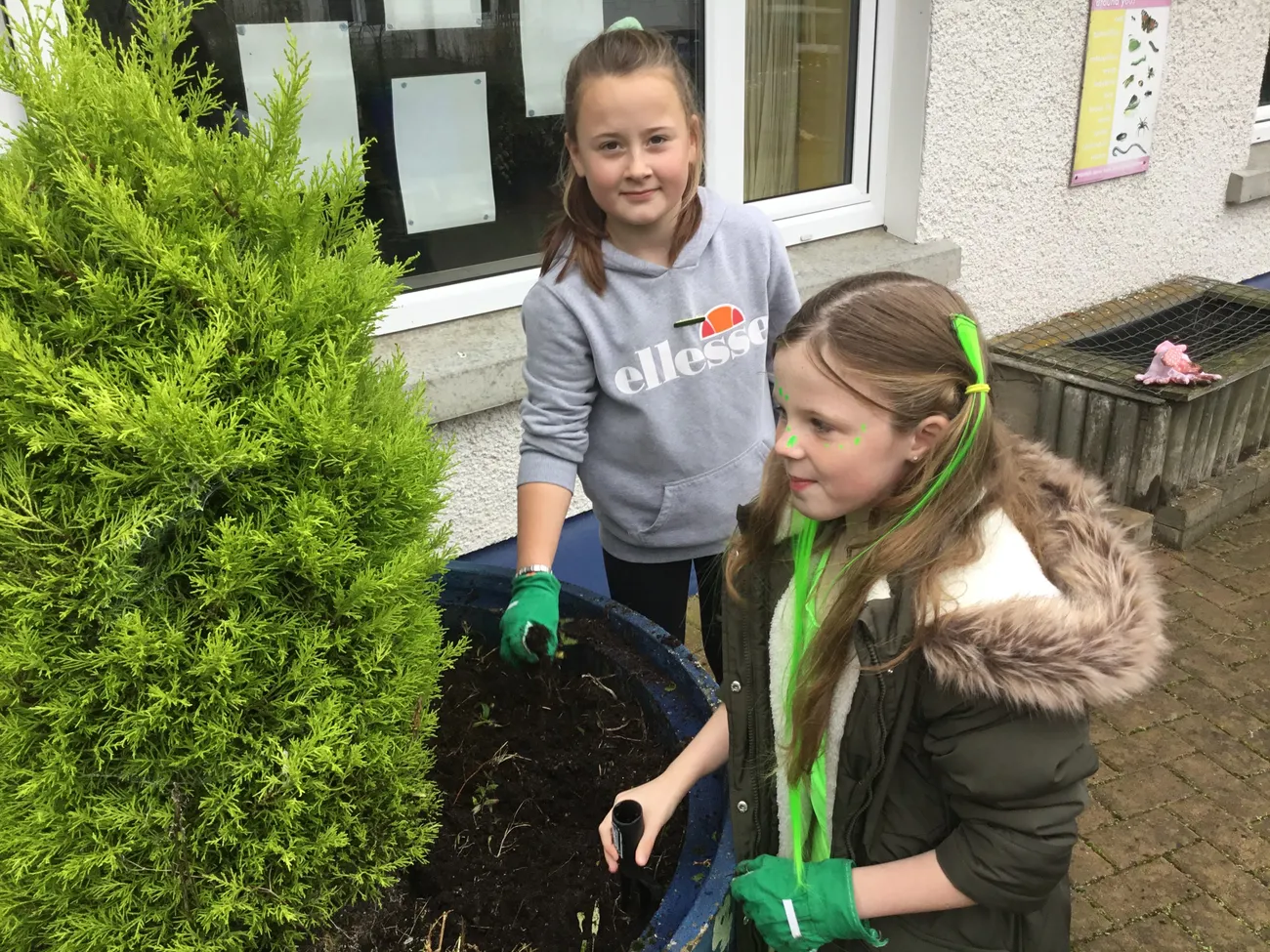 Gallery - created at 2021-11-08 14:16:02 - image 2