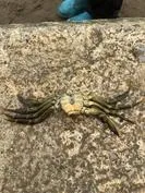 Forest School 126 - image 2 Forest School 126 - image 2