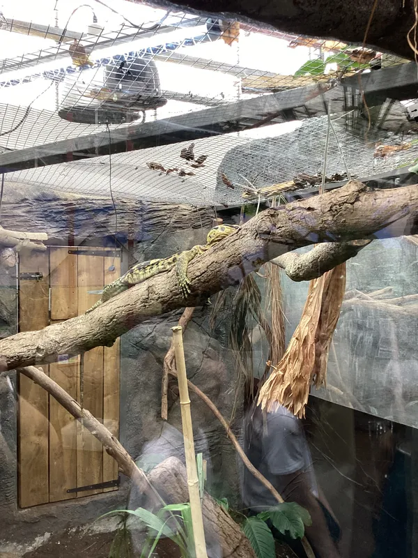 Gallery - created at 2025-03-14 10:11:21 - image 7 Gallery - created at 2025-03-14 10:11:21 - image 7