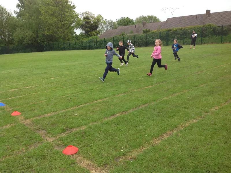 Gallery - created at 2021-06-11 10:23:24 - image 40