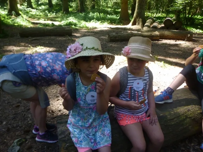 Gallery - created at 2018-07-13 21:33:12 - image 47 Gallery - created at 2018-07-13 21:33:12 - image 47