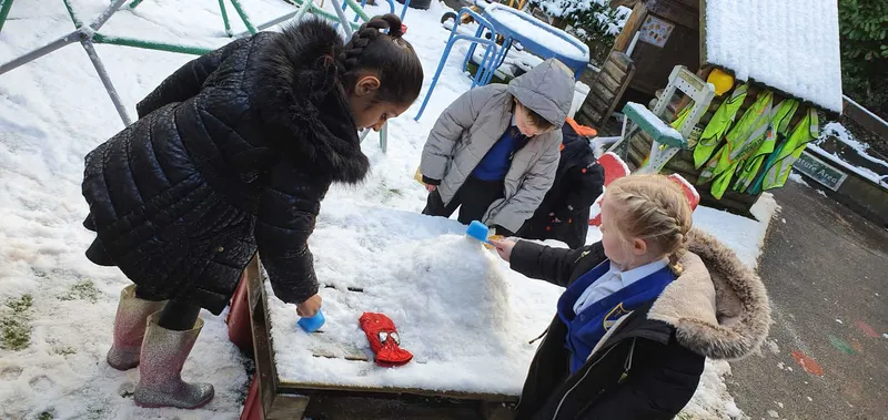 Gallery - created at 2023-01-11 17:02:45 - image 7