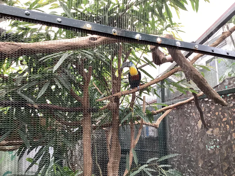 Gallery - created at 2025-03-14 10:11:21 - image 35 Gallery - created at 2025-03-14 10:11:21 - image 35