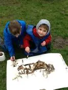 Forest School 154 - image 1 Forest School 154 - image 1