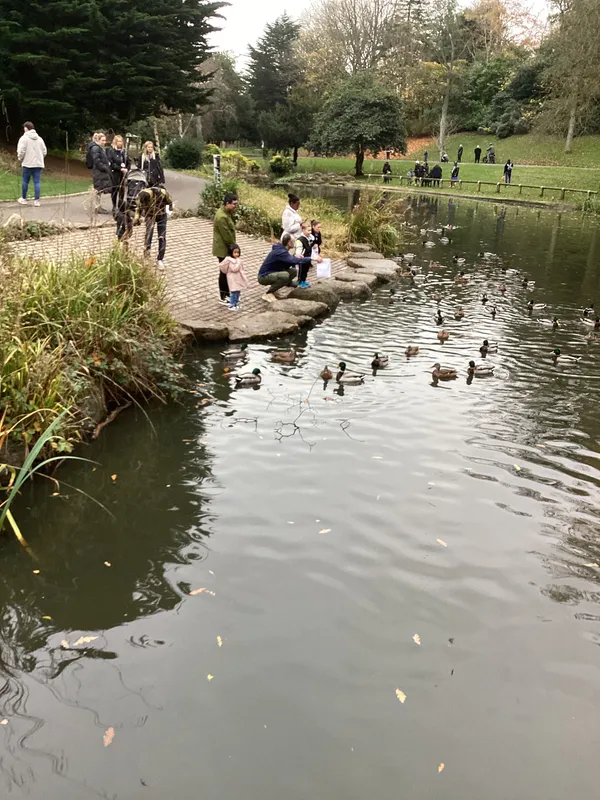 Gallery - created at 2024-11-08 10:10:59 - image 14 Gallery - created at 2024-11-08 10:10:59 - image 14