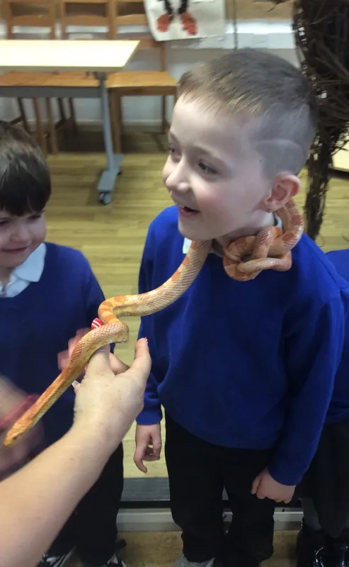 Gallery - created at 2024-03-05 13:52:56 - image 1 Gallery - created at 2024-03-05 13:52:56 - image 1