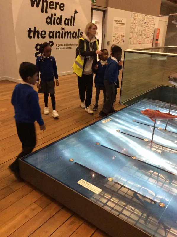 Gallery - created at 2024-02-09 11:53:37 - image 52