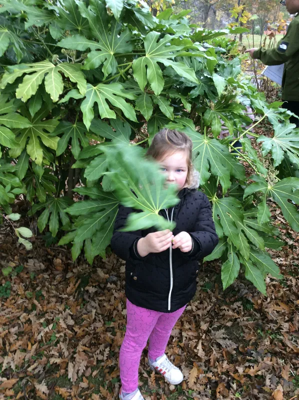 Gallery - created at 2024-11-05 15:27:50 - image 40 Gallery - created at 2024-11-05 15:27:50 - image 40