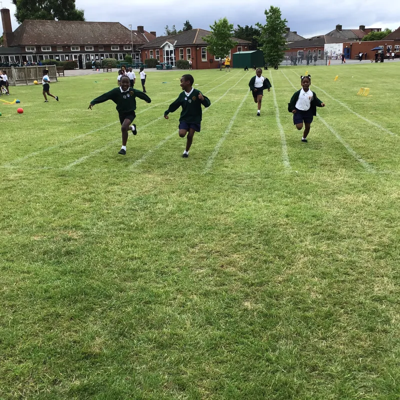 Gallery - image 14