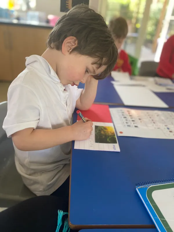 Gallery - created at 2025-03-23 10:29:25 - image 9