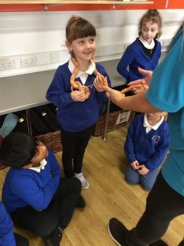 Gallery - created at 2024-02-26 17:15:57 - image 98 Gallery - created at 2024-02-26 17:15:57 - image 98