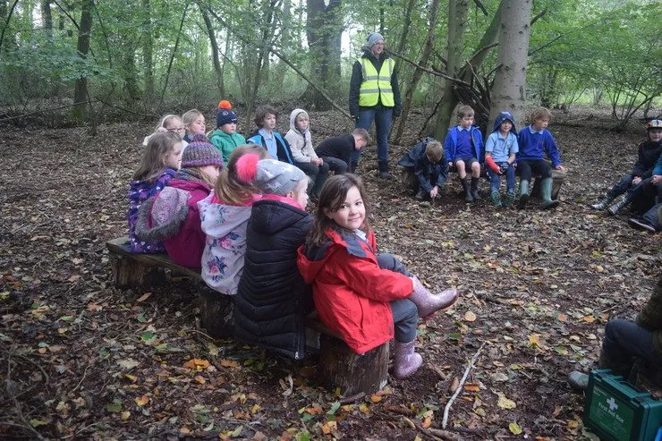 Gallery 6 - image 17