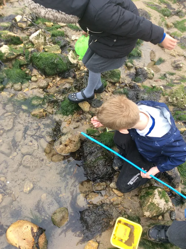 Gallery - created at 2024-05-23 10:29:28 - image 19