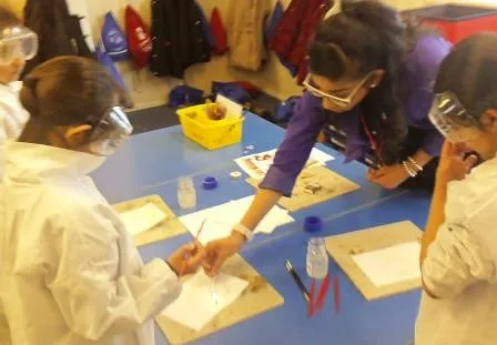 Gallery - created at 2018-01-17 17:01:43 - image 10