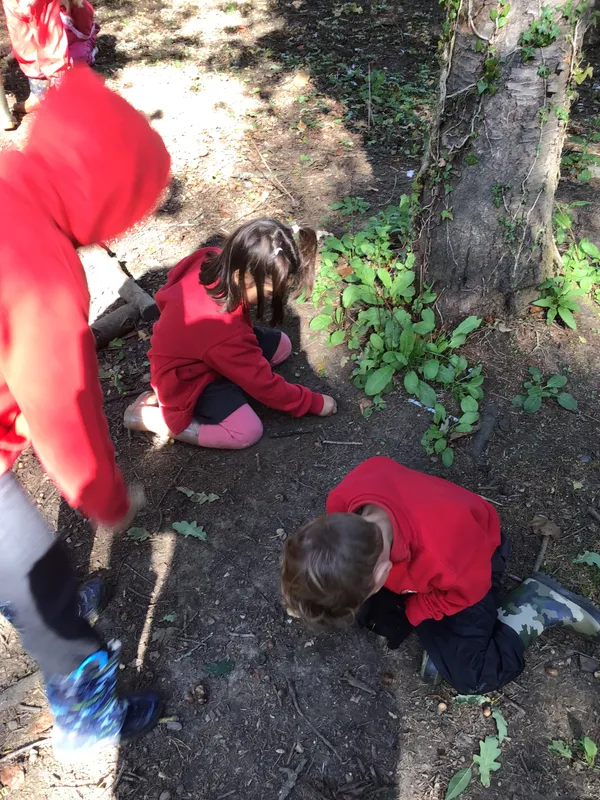 Oak Class Nature Session - image 2 Oak Class Nature Session - image 2