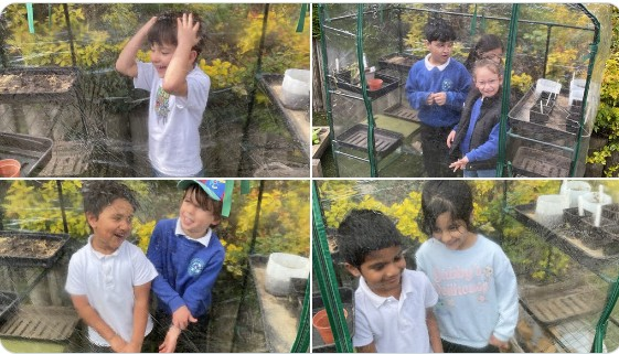 F2 are learning about rainforests this week.