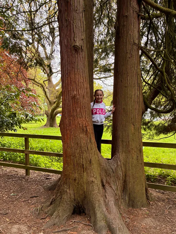 Year 3 Losehill Residential 2026 - image 63