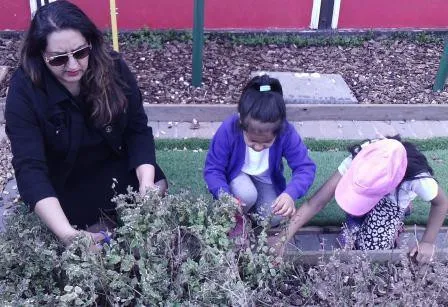 Gallery - created at 2018-01-17 17:01:31 - image 26