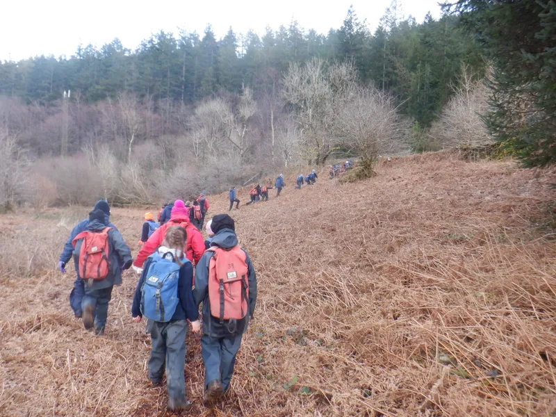 Gallery - created at 2025-02-25 21:38:38 - image 14