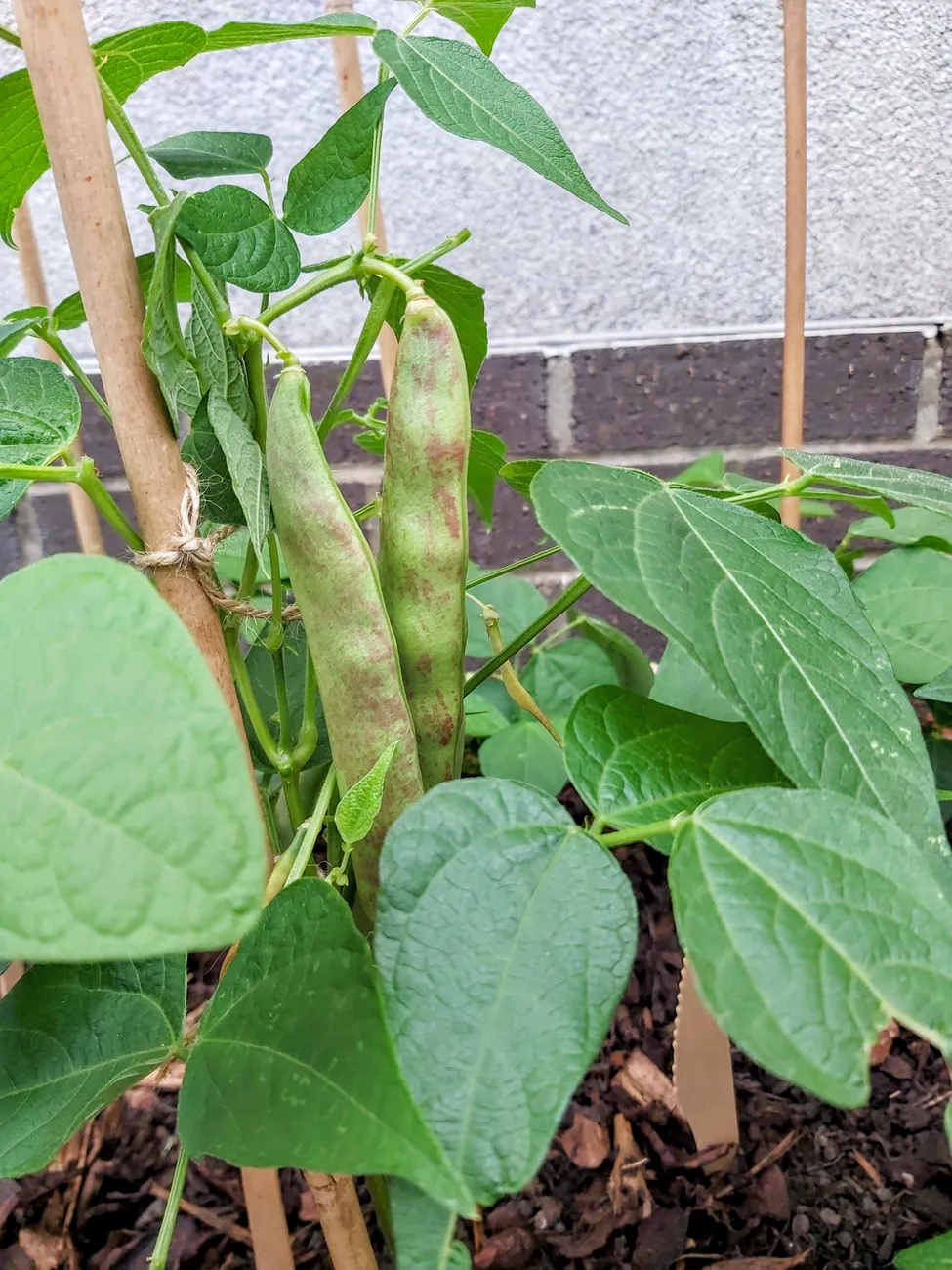 Gallery - created at 2023-09-07 16:46:06 - image 22 Gallery - created at 2023-09-07 16:46:06 - image 22