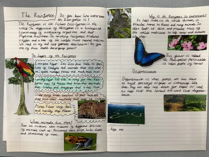 Gallery - created at 2021-04-26 21:31:33 - image 20 Gallery - created at 2021-04-26 21:31:33 - image 20