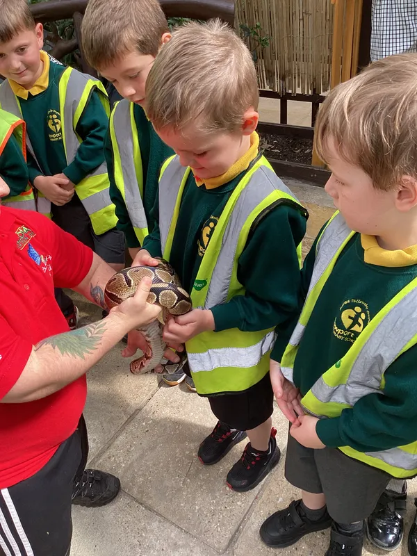 EYFS at Butterfly World - image 2