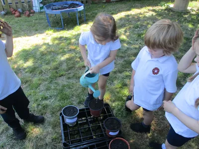 Planting - image 55