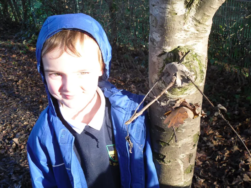 Gallery - created at 2020-02-19 15:29:48 - image 2