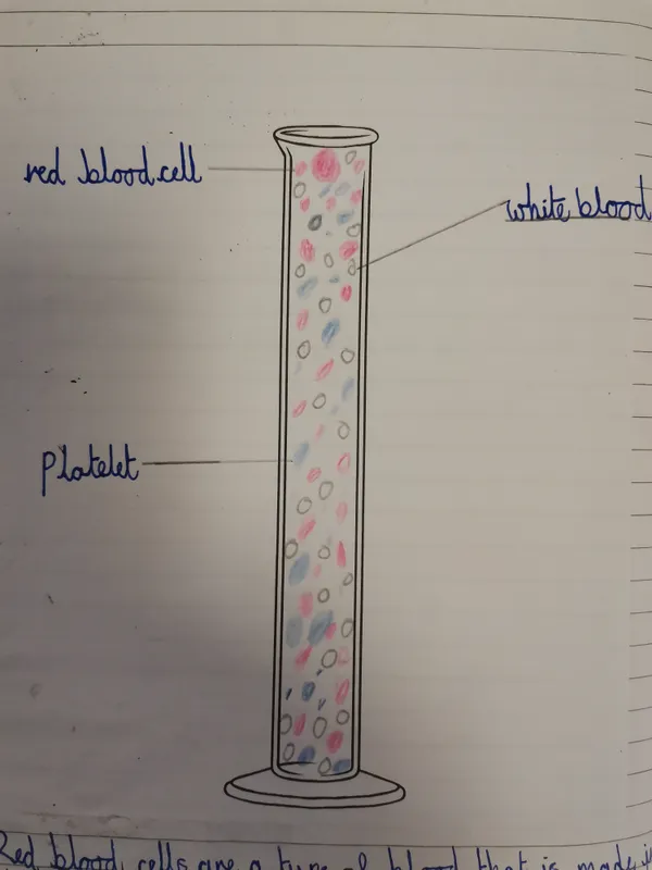 Gallery - created at 2025-01-04 10:24:52 - image 2