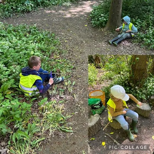 Forest School 38 - image 1 Forest School 38 - image 1
