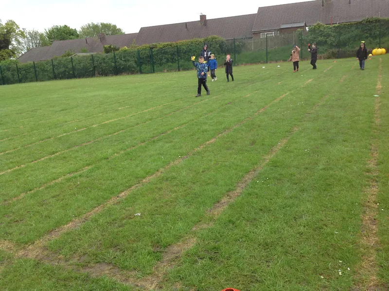 Gallery - created at 2021-06-11 10:23:24 - image 28