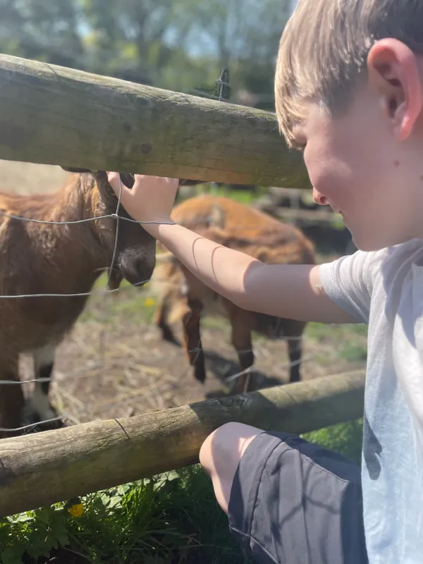 Gallery - created at 2024-05-12 17:36:52 - image 8 Gallery - created at 2024-05-12 17:36:52 - image 8