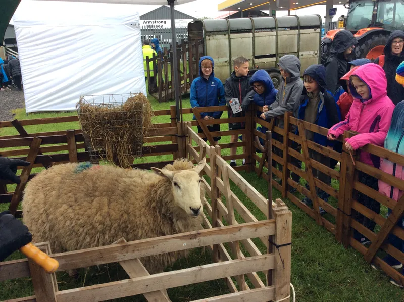 Extra-Curricular Gallery - image 18