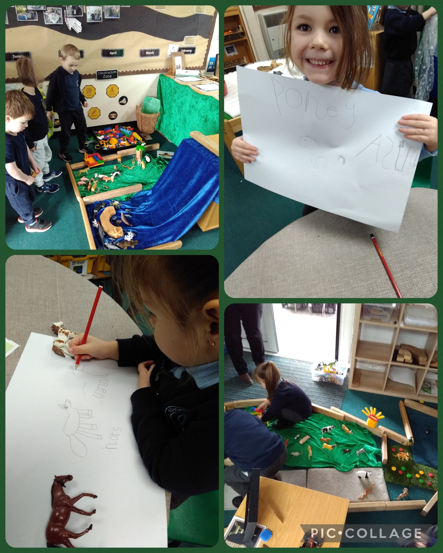 The Creation Story