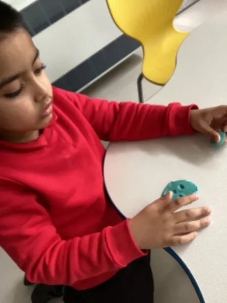 Maple Class - image 24