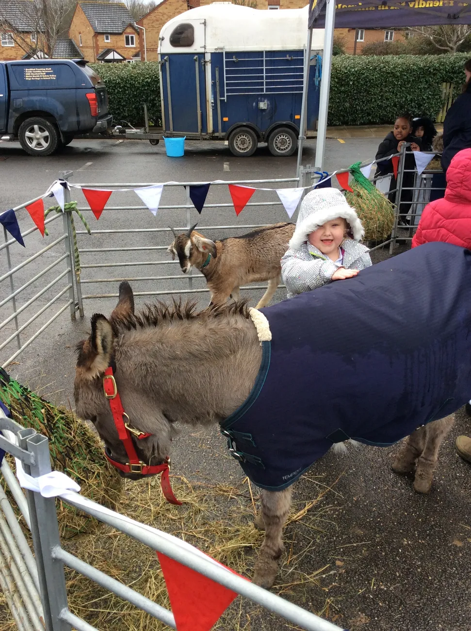 Gallery - created at 2022-03-04 13:11:52 - image 10