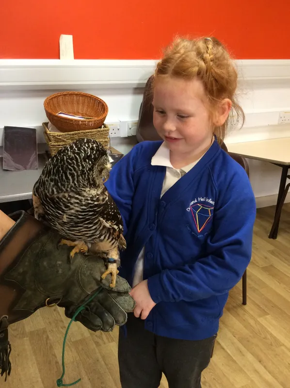 Gallery - created at 2024-02-26 17:15:57 - image 12 Gallery - created at 2024-02-26 17:15:57 - image 12