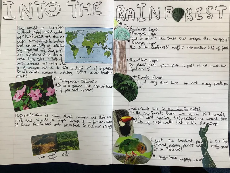 Gallery - created at 2021-04-26 21:31:33 - image 10 Gallery - created at 2021-04-26 21:31:33 - image 10