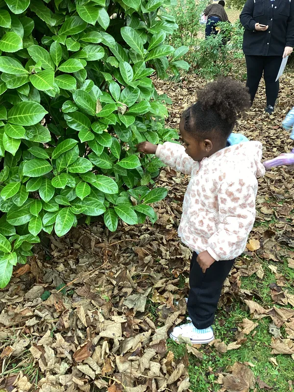 Gallery - created at 2024-11-08 10:10:59 - image 90 Gallery - created at 2024-11-08 10:10:59 - image 90