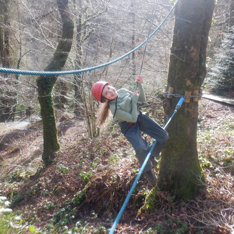 Gallery - created at 2025-02-27 19:57:56 - image 24