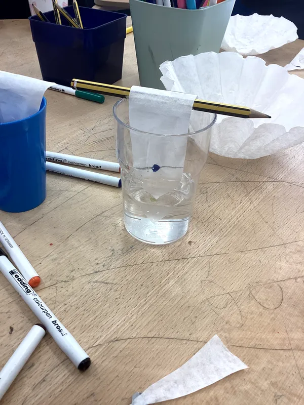 Science Week 2026 - image 31