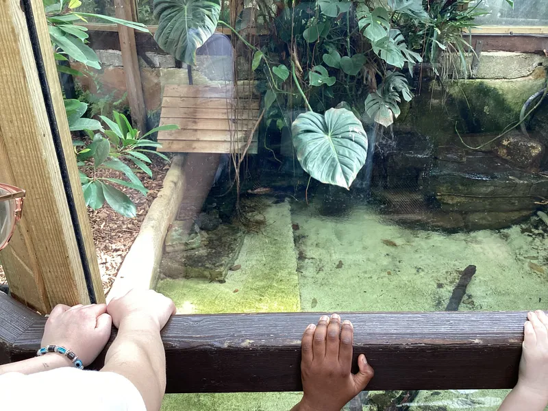 Gallery - created at 2025-03-14 10:11:21 - image 15 Gallery - created at 2025-03-14 10:11:21 - image 15