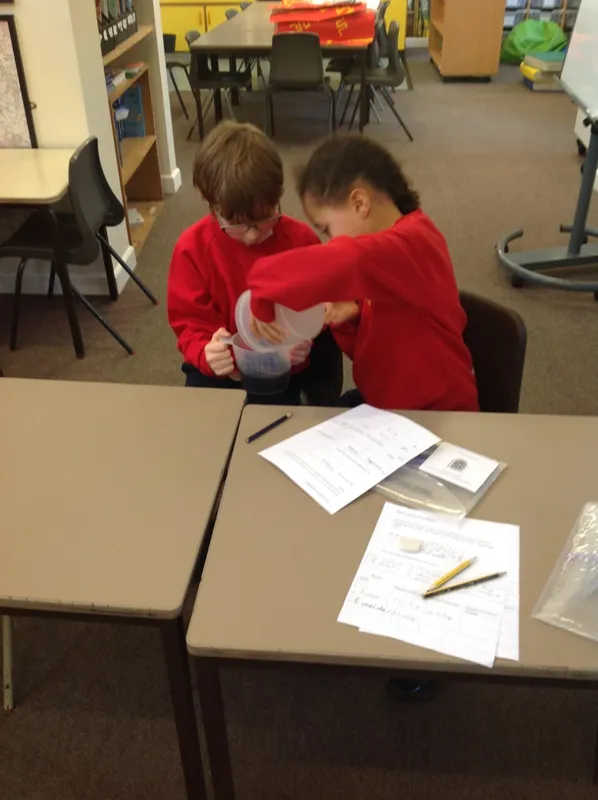 Gallery - created at 2023-01-20 16:39:18 - image 5 Gallery - created at 2023-01-20 16:39:18 - image 5