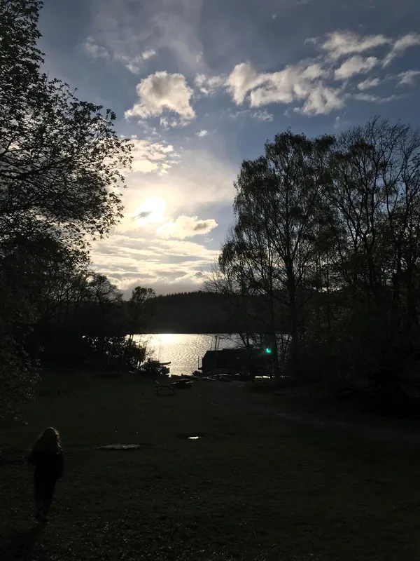 Gallery - image 37
