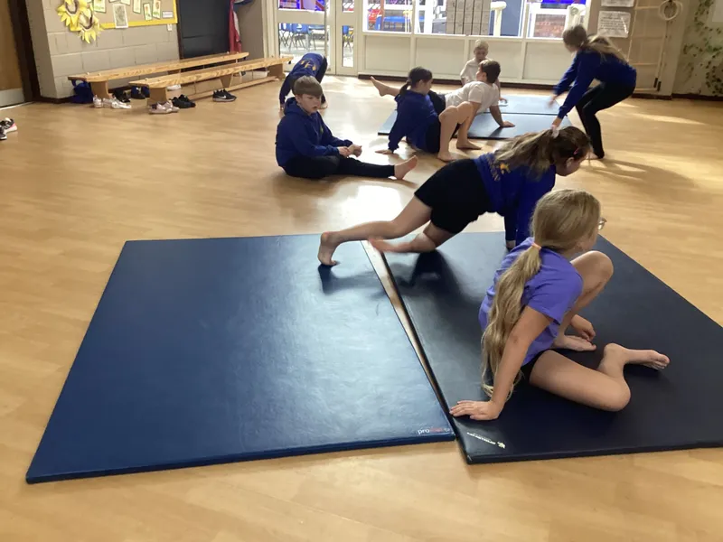In PE we have been exploring twisted shapes. We linked balances together with different ways to travel - image 3 In PE we have been exploring twisted shapes. We linked balances together with different ways to travel - image 3