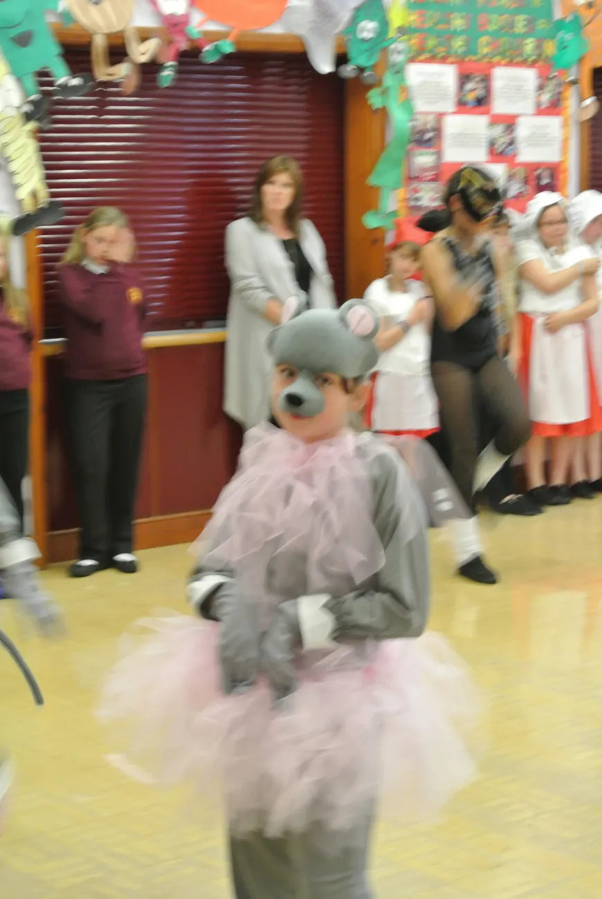 Gallery - created at 2022-09-09 14:00:03 - image 89