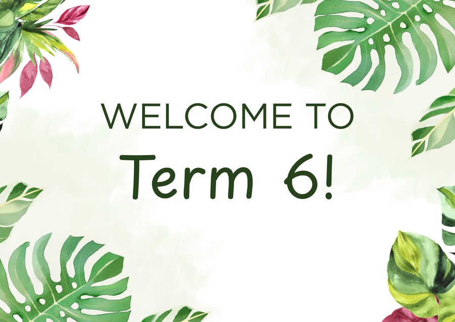 Welcome to Term 6!