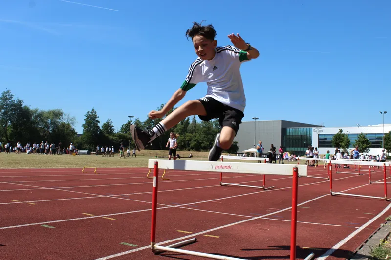 Gallery - created at 2022-09-26 19:18:43 - image 11