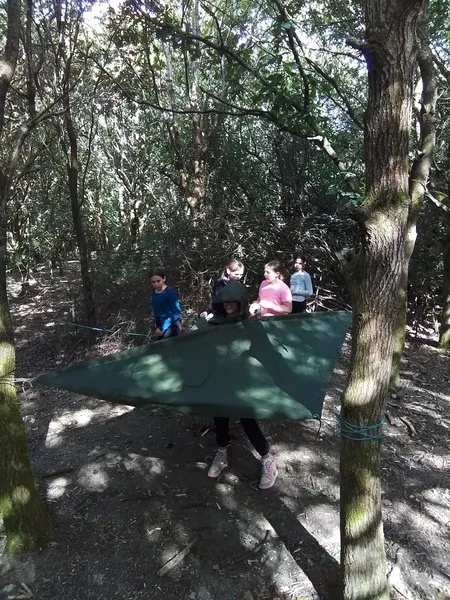 Group 3 - Survivor - image 15