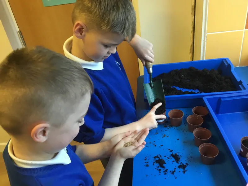 Gallery - created at 2022-03-01 15:52:40 - image 2